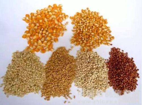 全球小麦价格涨超60%！20多国禁止粮食出口，联合国发出警告！
