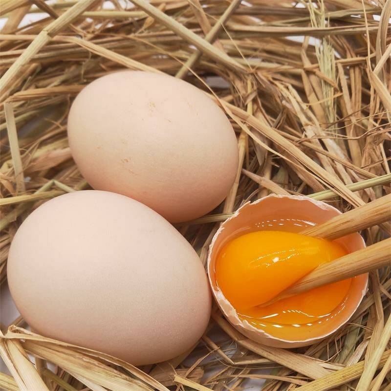 淡季不淡，蛋价缘何逆袭上涨？