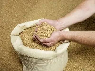 豆粕减量替代加速，饲料还会涨价吗？