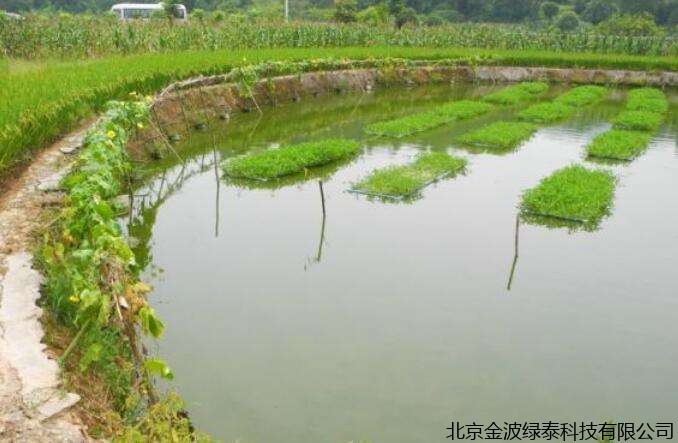 水产养殖鱼塘的生态系统与调水之间的关系。