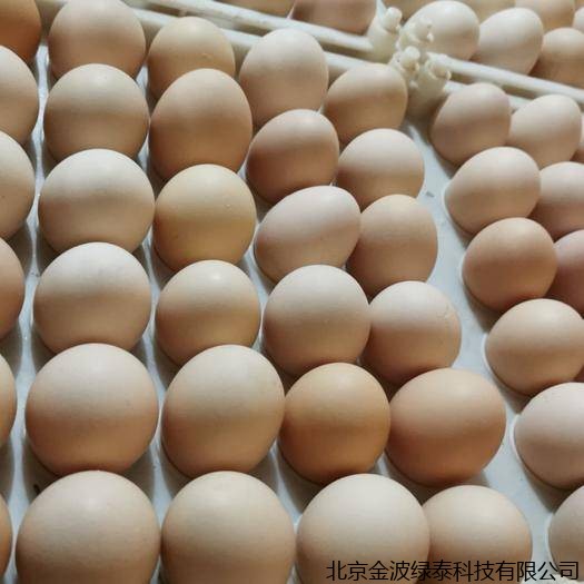 北京疫情反弹，会给中长期鸡蛋走势带来啥影响？