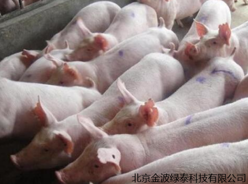 猪的饲喂技术，干料和湿料都有什么优缺点？生喂好还是熟喂好？