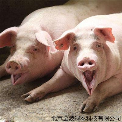 养猪人的安全感在哪里？猪价风向标转变，东北西北华北走低！