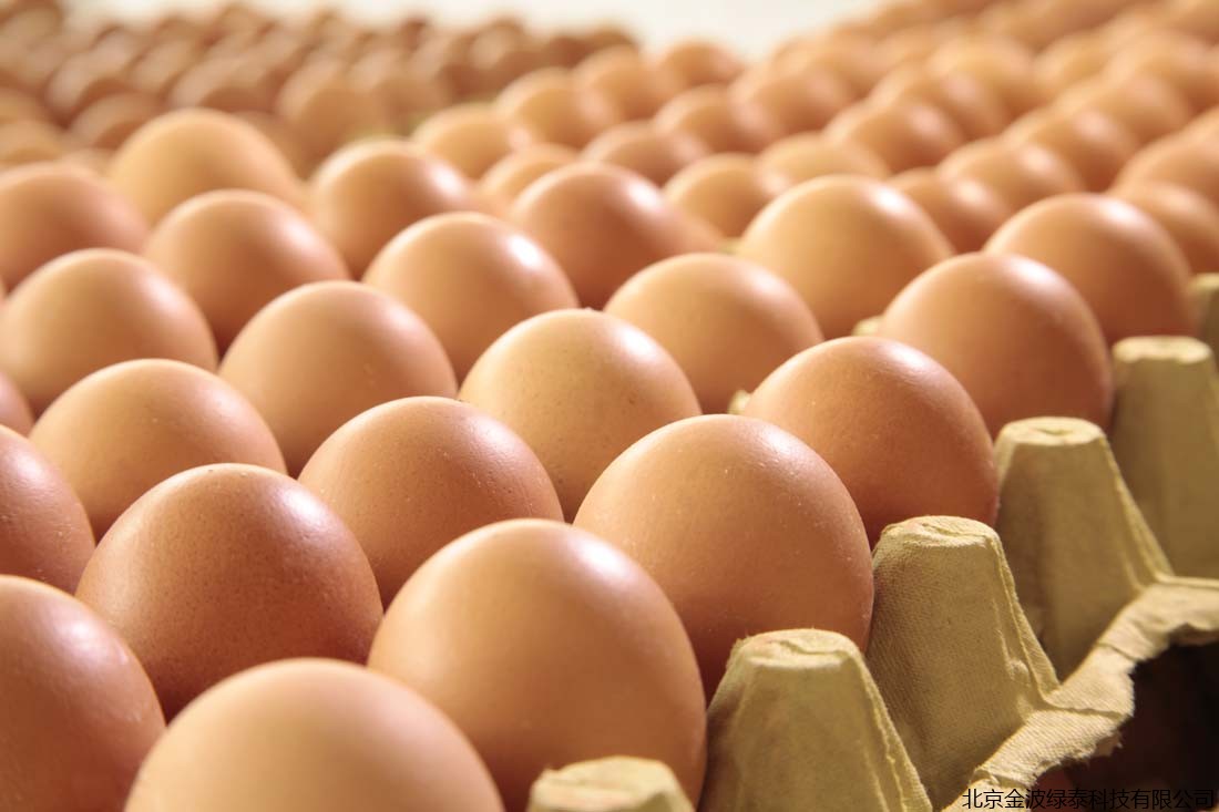 “蛋蛋的忧伤”：端午临近，一枚鸡蛋仍不到4毛钱