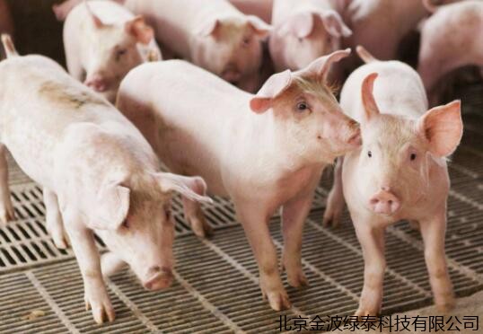 上半年猪价走出“V”字行情，猪企最高净利翻10倍，已禁止23国肉类输华，下半年红利能否持续?